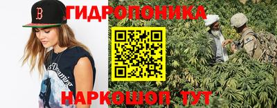 ECSTASY Будённовск